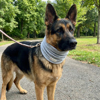 Snood Trendy Gris 🩶