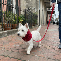 Snood Trendy Rojo ❤️