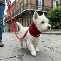 Snood Trendy Rojo ❤️