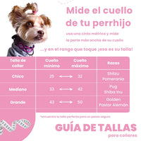 El set ¡MÁS PERRÓN!