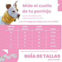 Snood Trendy Gris 🩶