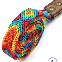 La correa ¡MÁS PERRONA!