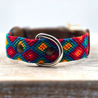 El collar ¡MÁS PERRÓN!