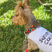 El set ¡MÁS PERRÓN!