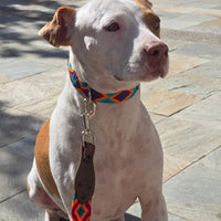 El set ¡MÁS PERRÓN!