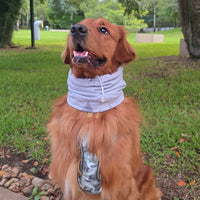 Snood Trendy Gris 🩶