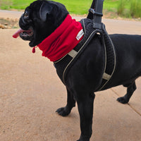 Snood Trendy Rojo ❤️