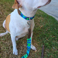 La correa ¡MÁS COOL!