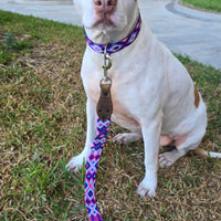 La correa ¡MÁS CHIC!