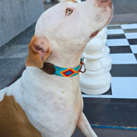 El collar ¡MÁS PERRÓN!