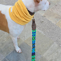 La correa ¡MÁS COOL!