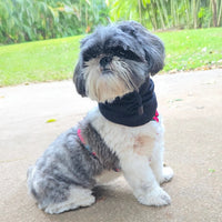 Snood Trendy Negro 🖤