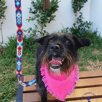 La correa ¡MÁS CUTE!