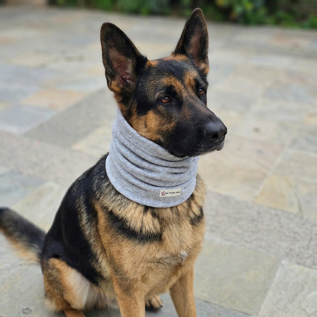 Snood Trendy Gris 🩶