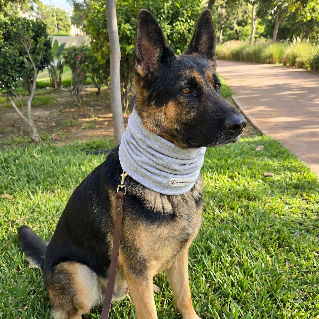 Snood Trendy Gris 🩶