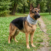 Snood Trendy Gris 🩶