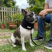 Snood Trendy Negro 🖤