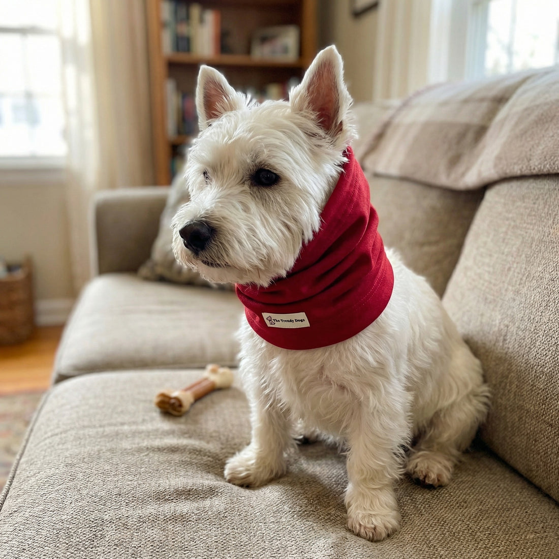 Snood Trendy Rojo ❤️