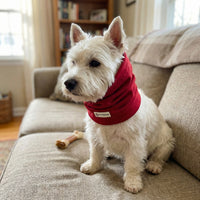 Snood Trendy Rojo ❤️