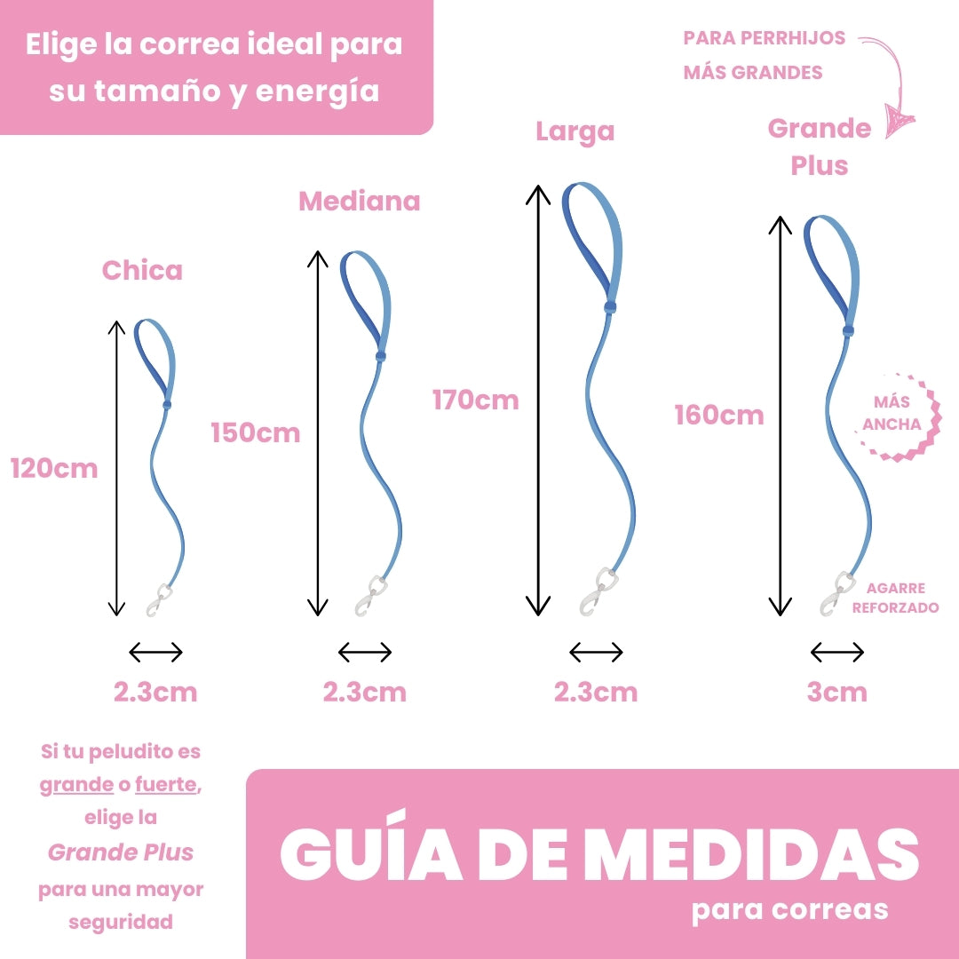 La correa ¡MÁS NICE!