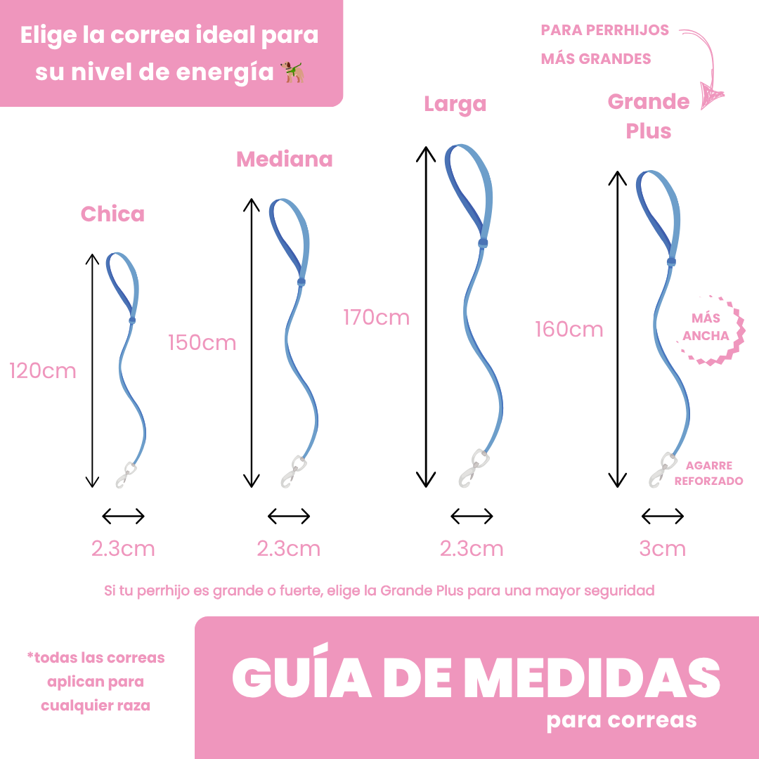 La correa ¡MÁS PERRONA!