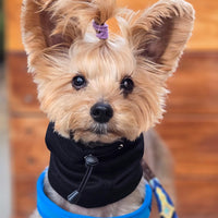 Snood Trendy Negro 🖤