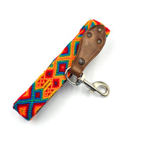 La correa ¡MÁS PERRONA!