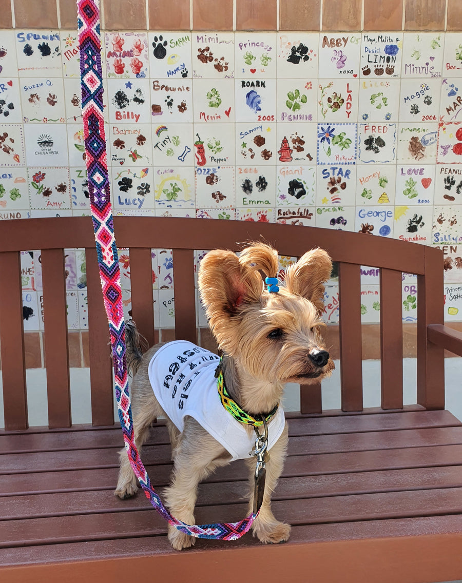 La correa ¡MÁS CHIC!