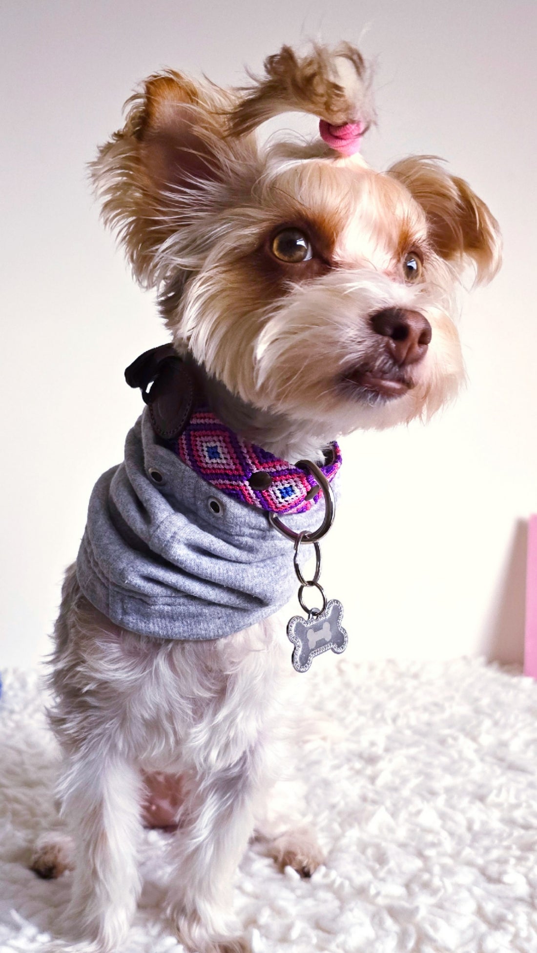 El collar ¡MÁS CHIC!