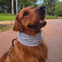 Snood Trendy Gris 🩶