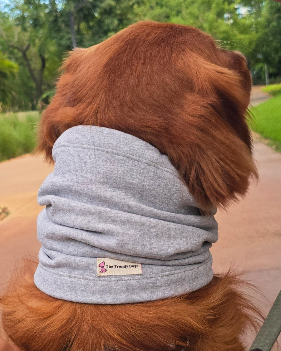 Snood Trendy Gris 🩶