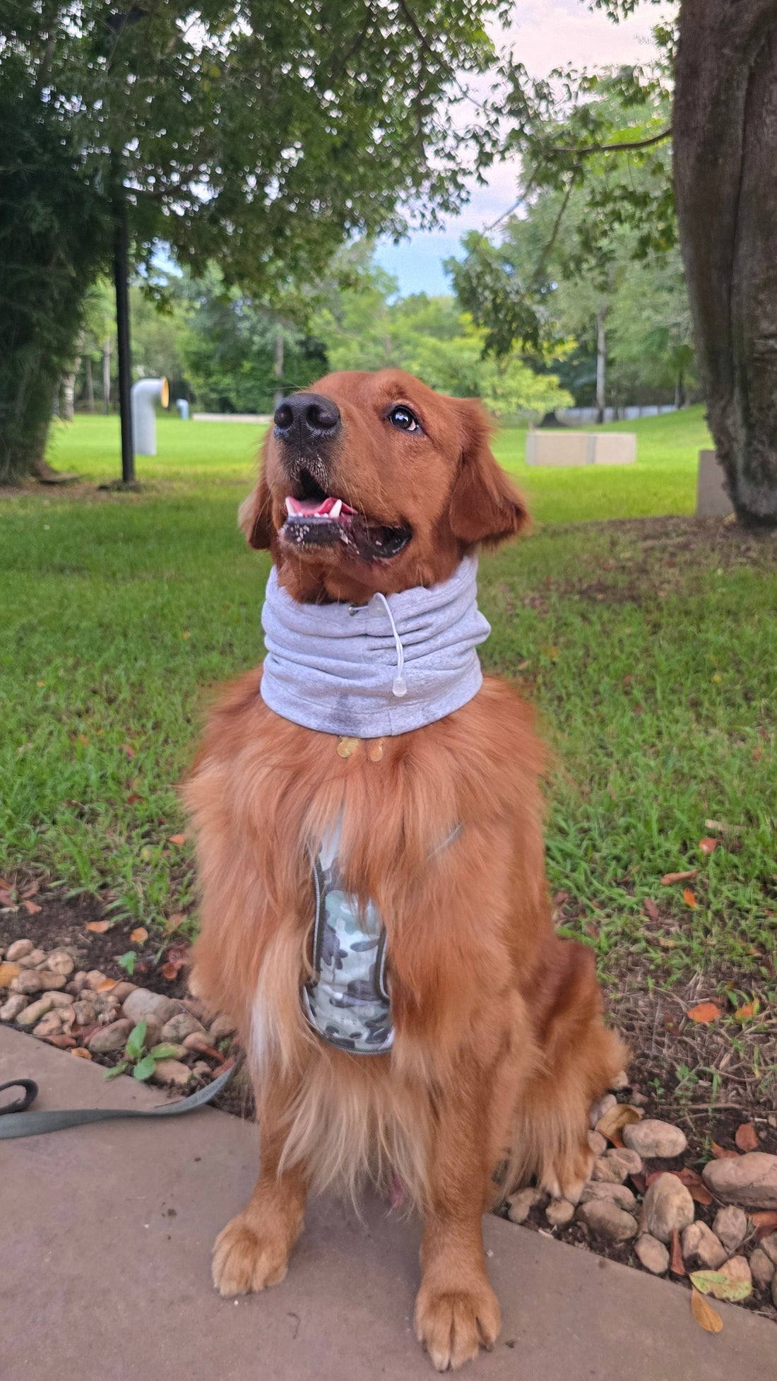 Snood Trendy Gris 🩶