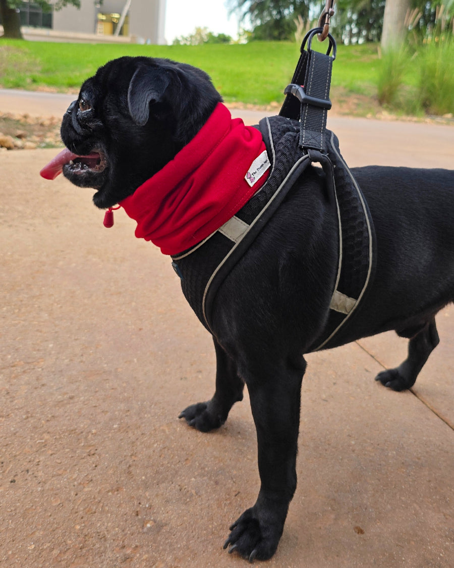 Snood Trendy Rojo ❤️