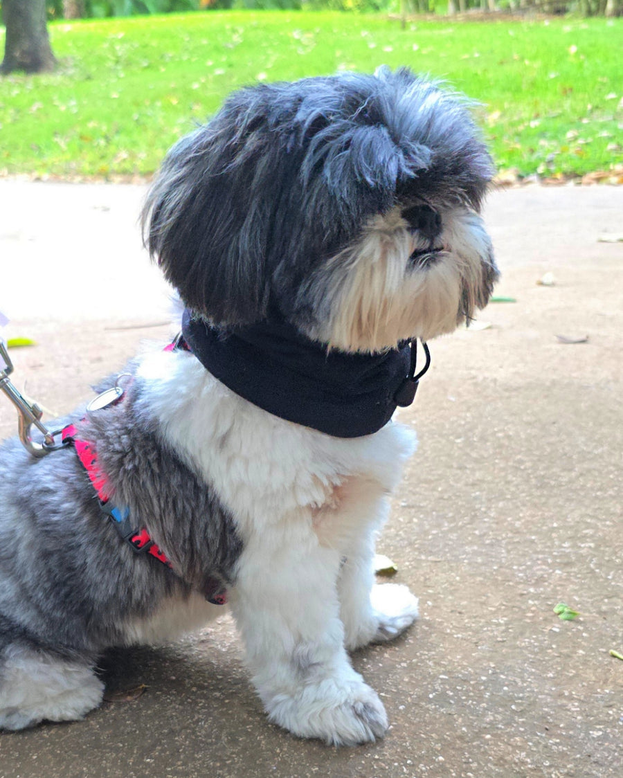 Snood Trendy Negro 🖤