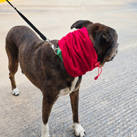 Snood Trendy Rojo ❤️