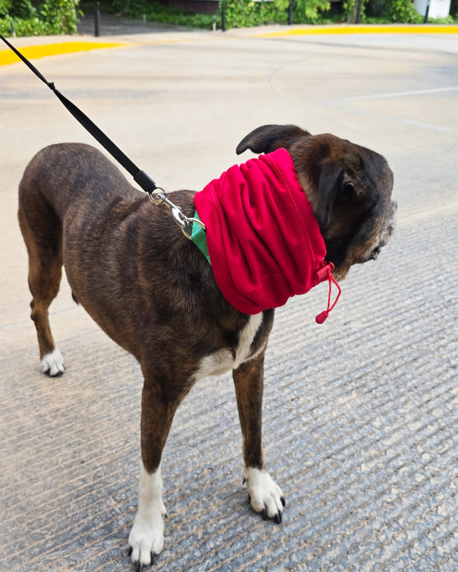 Snood Trendy Rojo ❤️