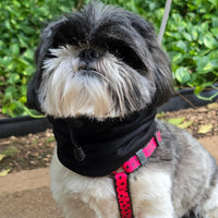 Snood Trendy Negro 🖤