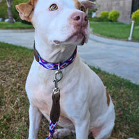 El collar ¡MÁS CHIC!