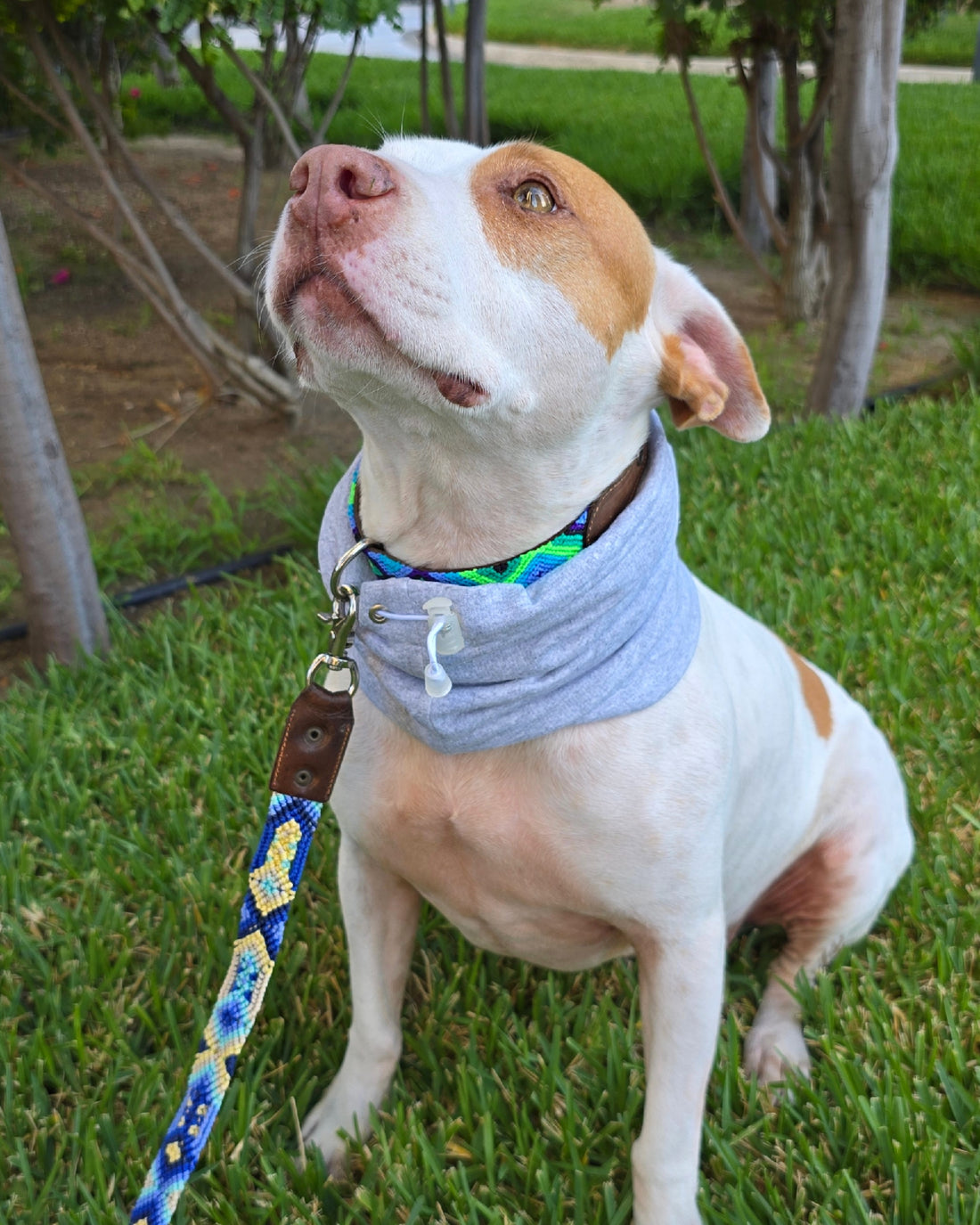 Snood Trendy Gris 🩶