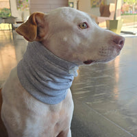 Snood Trendy Gris 🩶