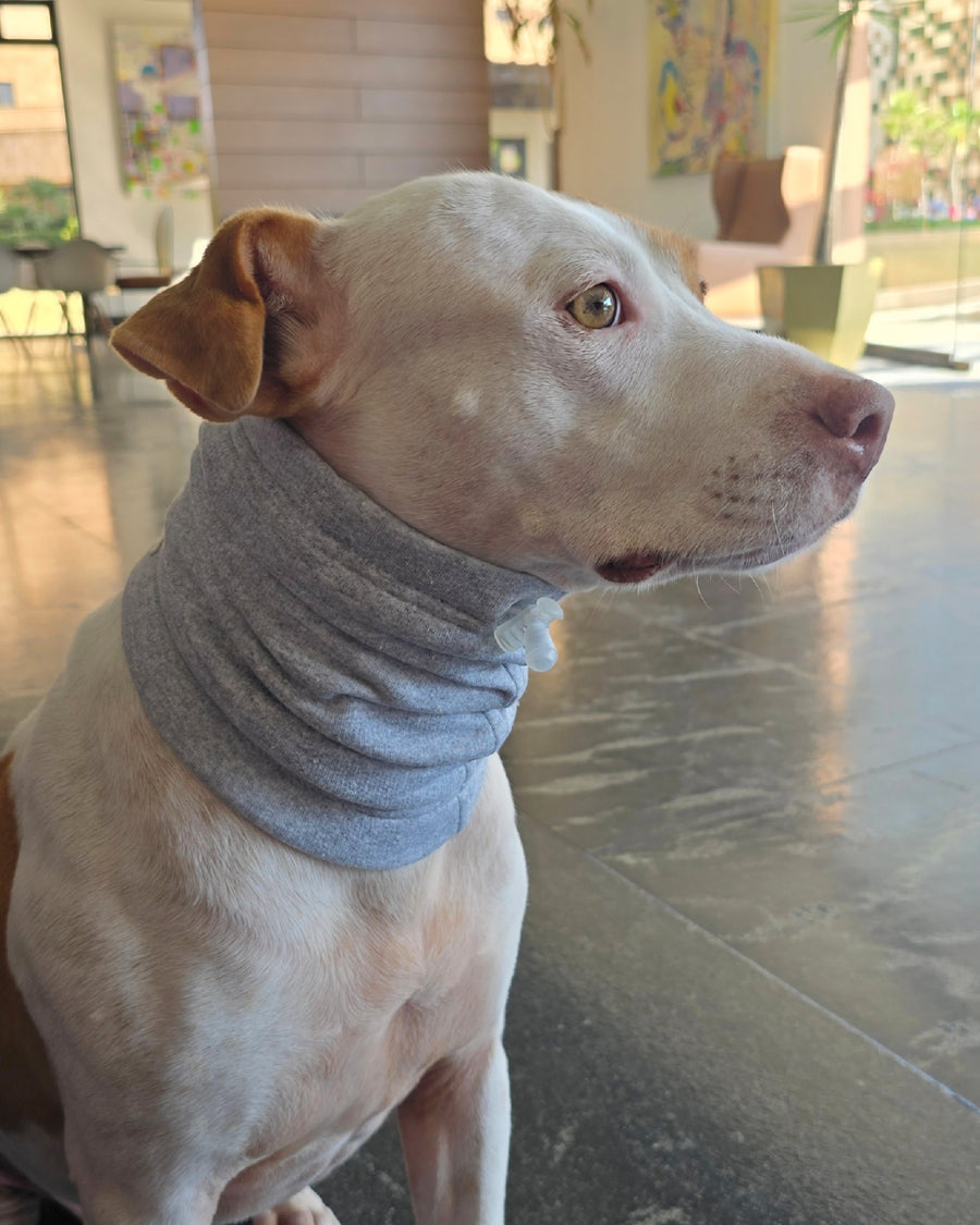 Snood Trendy Gris 🩶