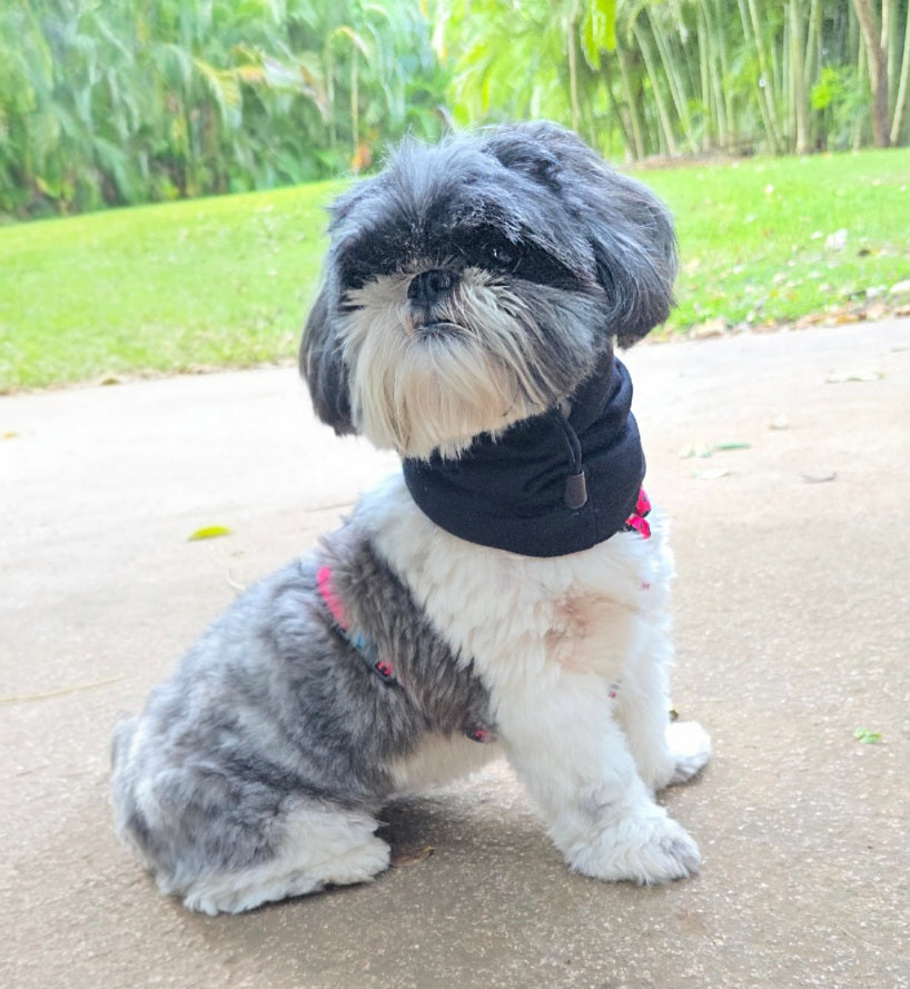 Snood Trendy Negro 🖤