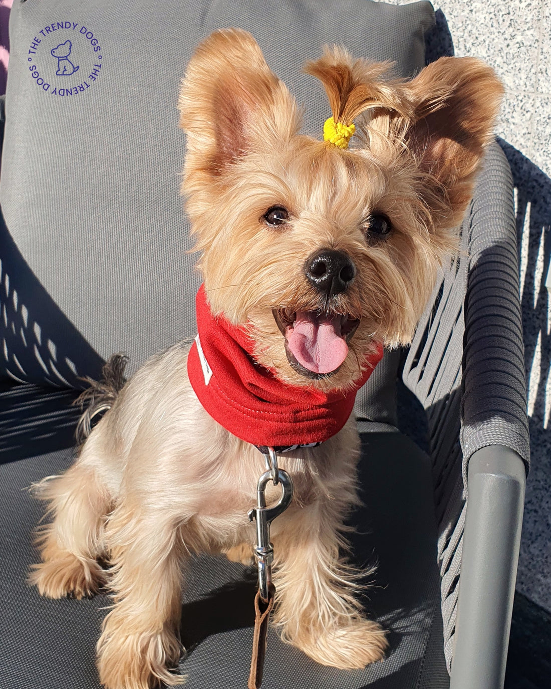 Snood Trendy Rojo ❤️