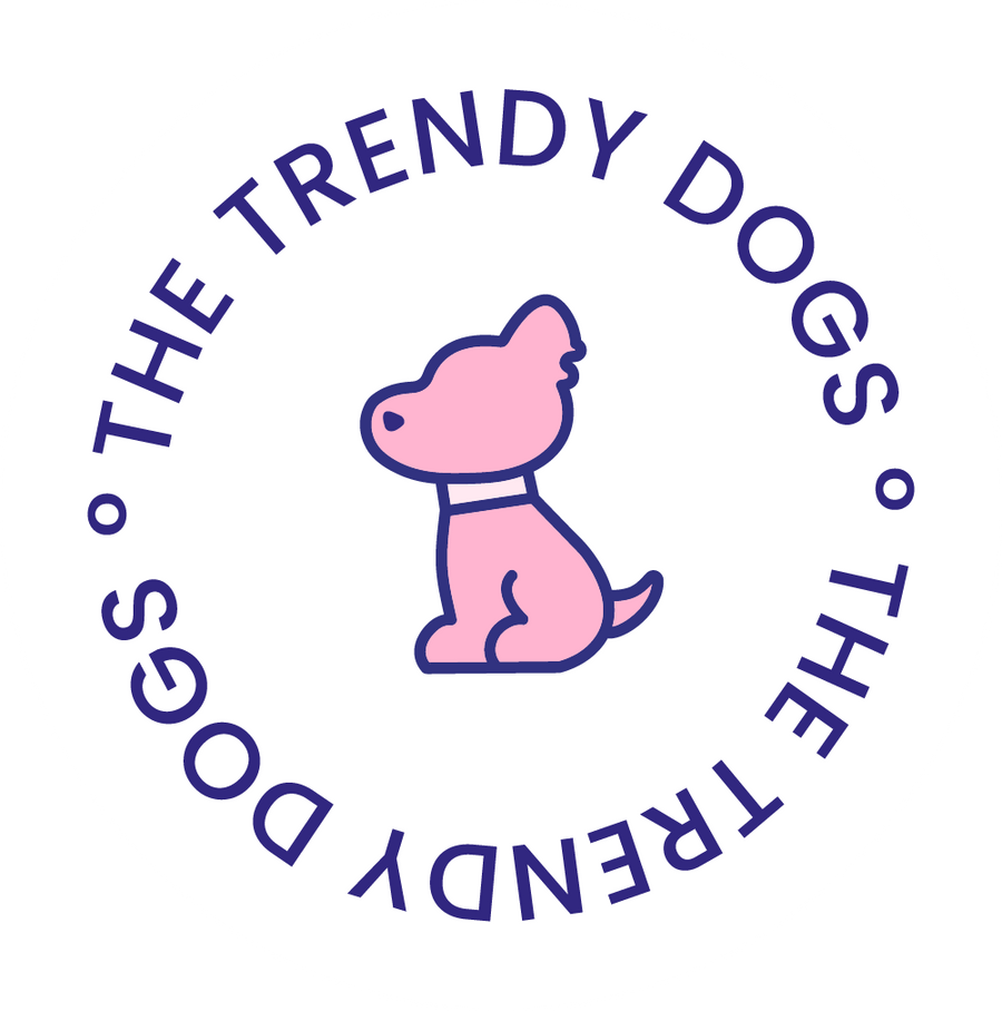 LAS CORREAS MAS PERRONAS DE MEXICO THE TRENDY DOGS