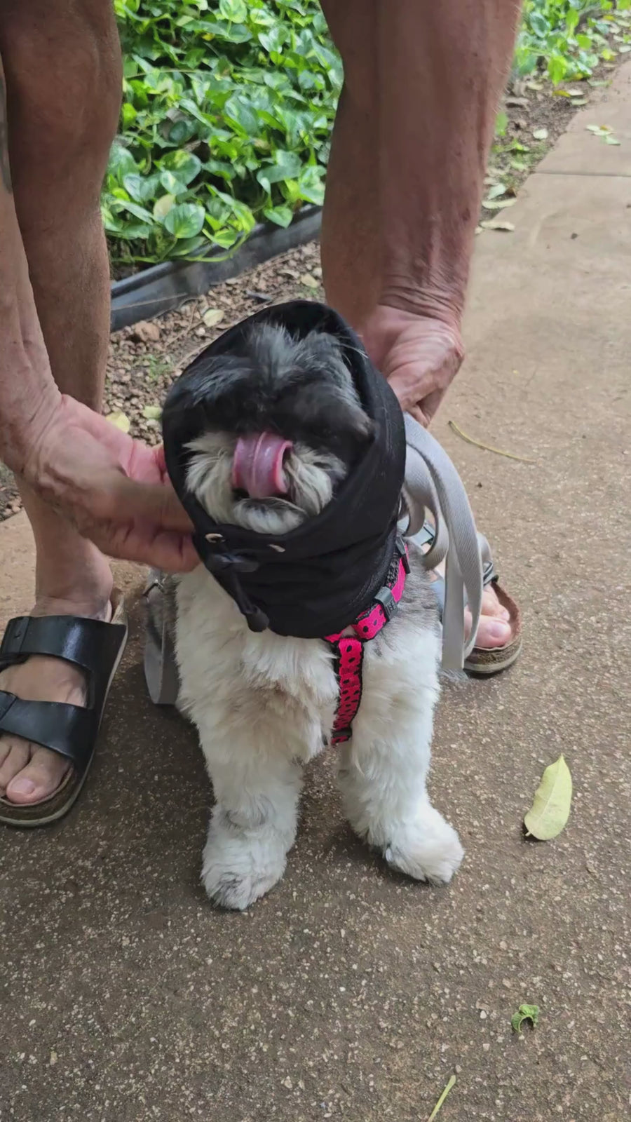 Snood Trendy Negro 🖤