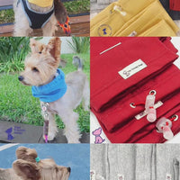 Snood Trendy Gris 🩶