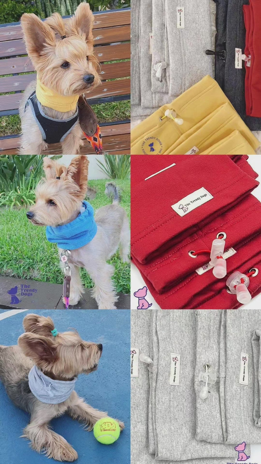 Snood Trendy Gris 🩶