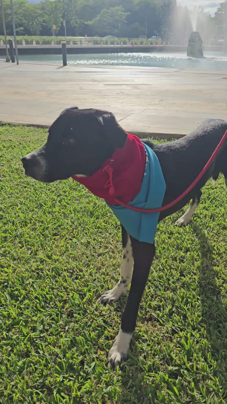 Snood Trendy Rojo ❤️
