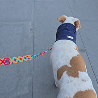 La correa ¡MÁS PERRONA!