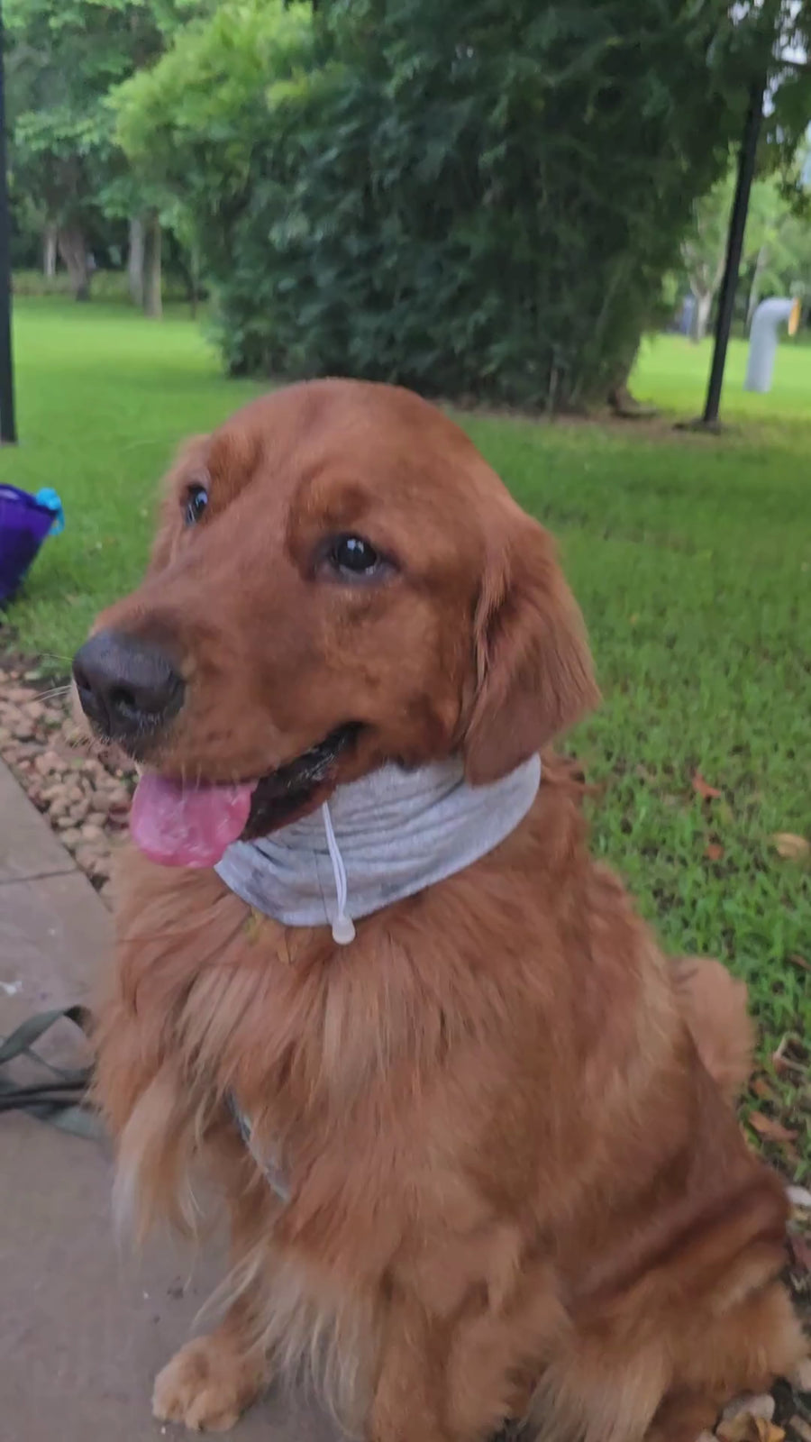 Snood Trendy Gris 🩶